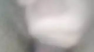 مصر ديك