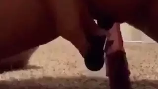 الجبهة العربية ارضاء نفسها مع لعبة