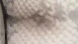 الديوث العربي