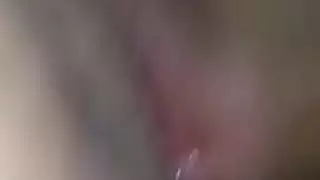 الحمار العربي فوكين