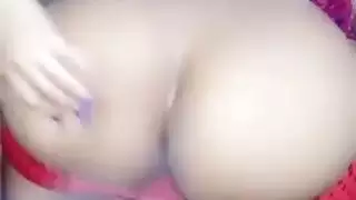 الحمار العربي ستة