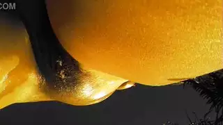 ميسي اليوبيل البرية في الهواء الطلق الروعة الروعة