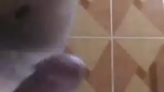 الاستمناء العربي قادم