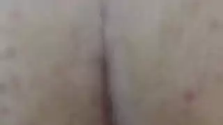 الحمار صديقته الإيرانية