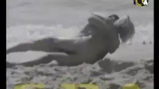 كنوز الأفلام العربية