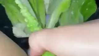 جنونا وأغرب الغذاء الاستمناء حار ليل ستيبسترالهواة العربية سنو وايت في لوس أنجلوسالولايات المتحدة الأمريكيةكينكي المتطرفة صنم السعودية العربية مسلم الإباحية