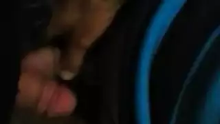 فروج تركي