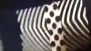 العمامة اللعنة