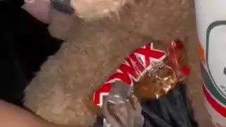 ساعات من الإباحية الإسلامية الغريبة للغاية عذراء سعودية فاخرة عمرها عامًا هواة عربية بيضاء ثلجية
