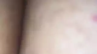 الحمار العربي سخيف