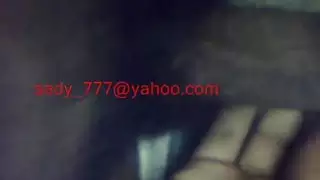 الديك الأسود العربي