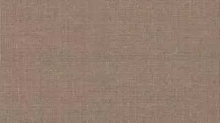 رجل تركي يصرخ 