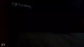 ق الأسد العربي