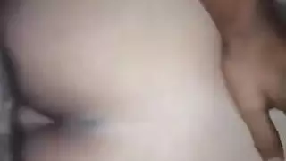 الحمار العربي الساخن فواك