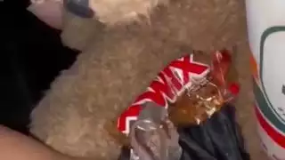 غريب الاستمناء مع الغذاءهواة العربية سنووايتجدا المتشددين صنم الإباحية تجميع