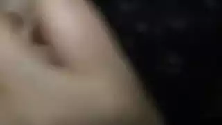 الثدي التركية