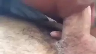 الأسود تمتص الريبو