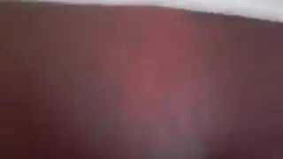 اللاتينية / العربية الديك
