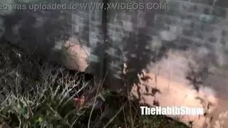 الحمار الأسود الكبير يحب بي بي سي: الغنائم الطموح يحصل على القواد في غطاء محرك السيارة
