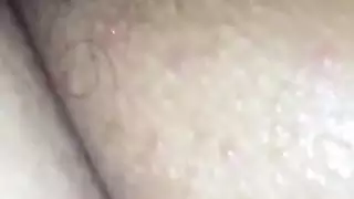 الحمار العربي